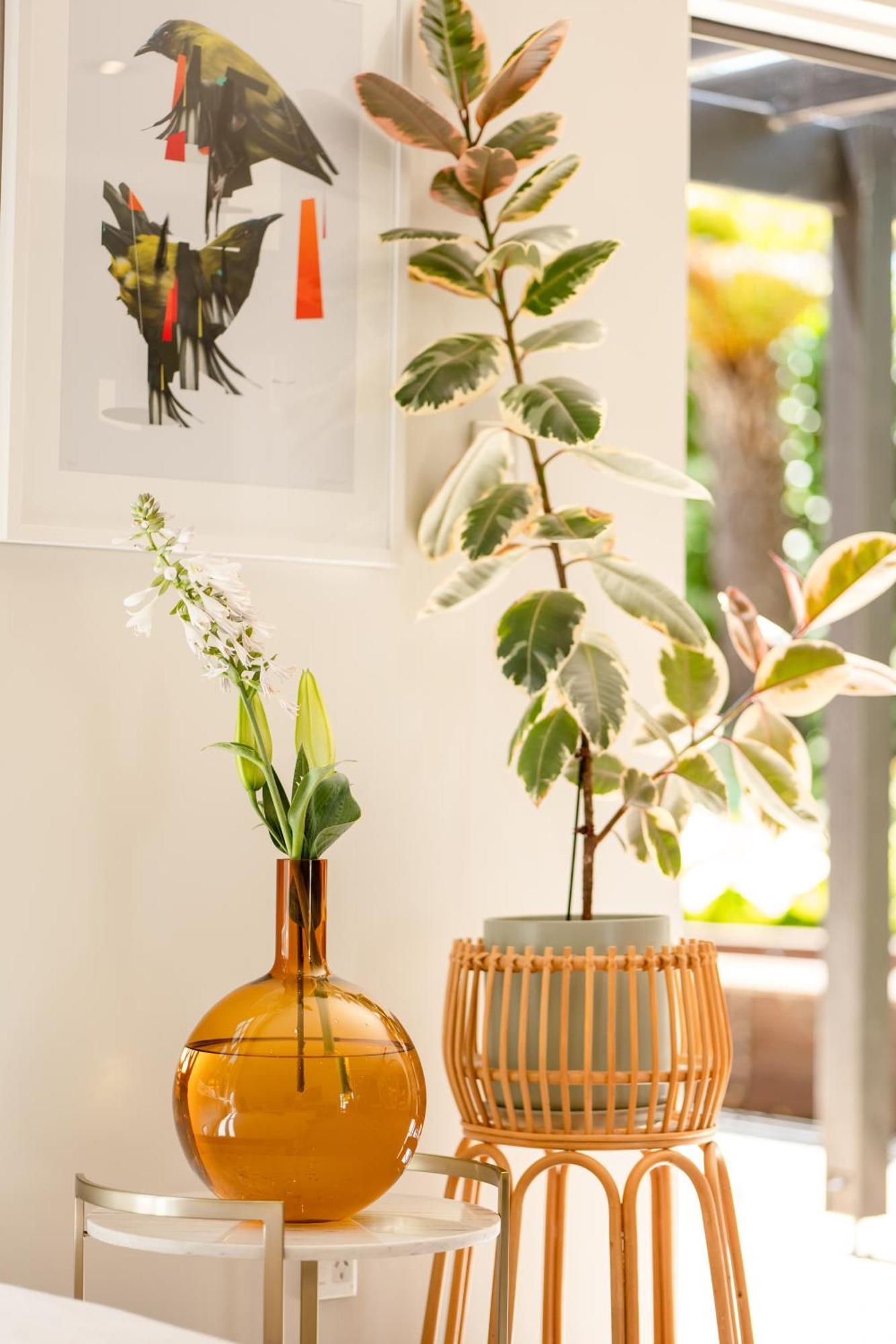 Luxurious Central City Living Christchurch Extérieur photo